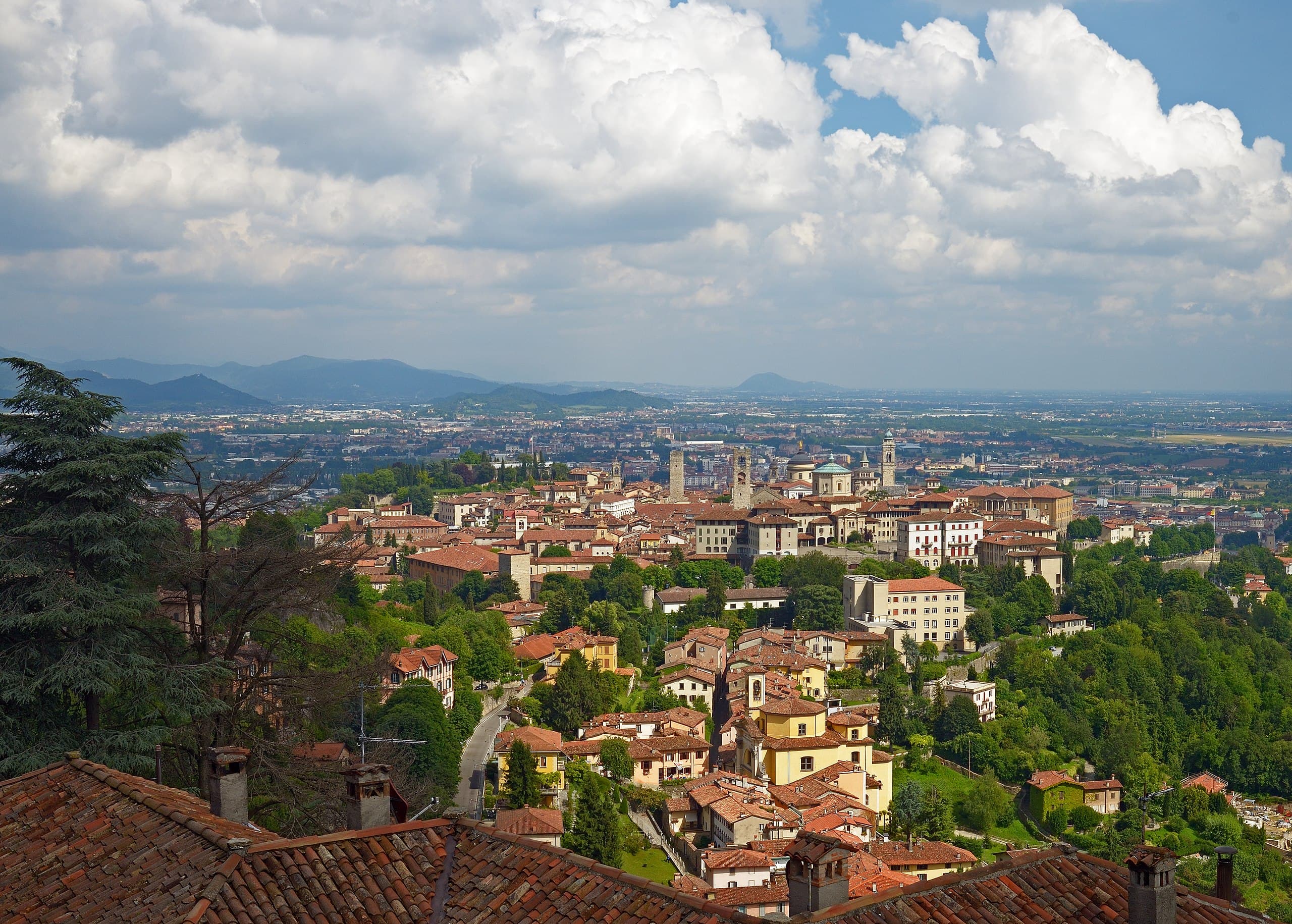 BERGAMO E PROVINCIA - Sede CasiAmo
